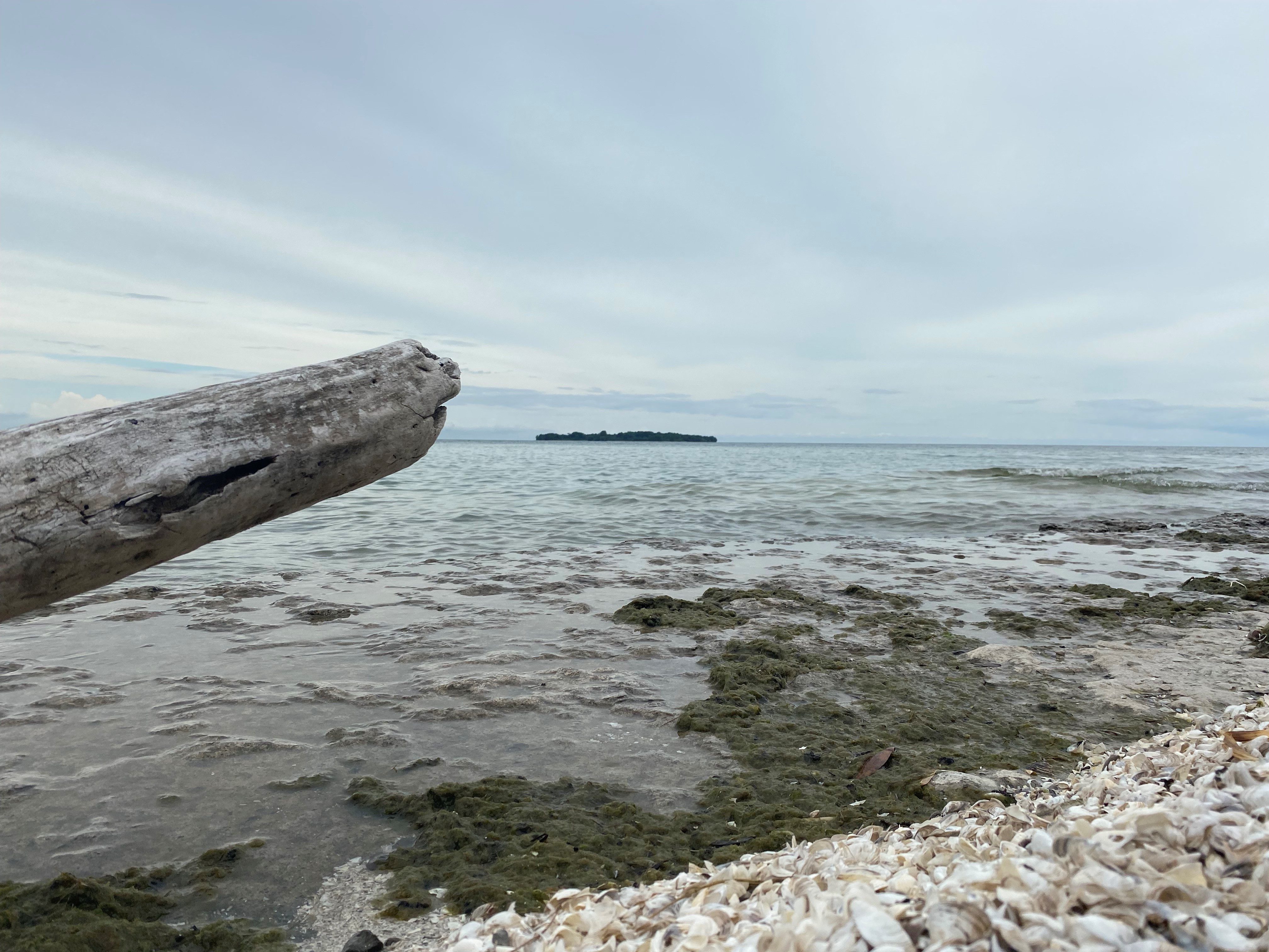 Photo of Marysburgh Vortex overlooking False Duck Island