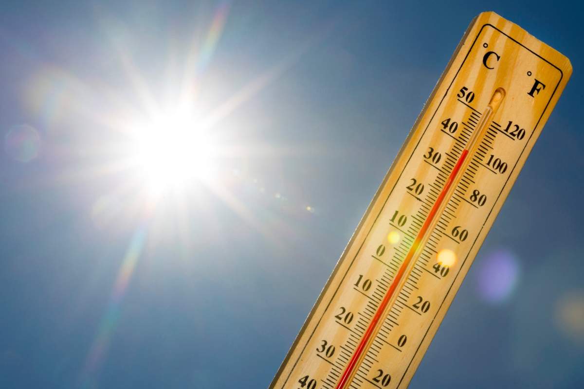 Guelph residents urged to be cautious during heat warning - image