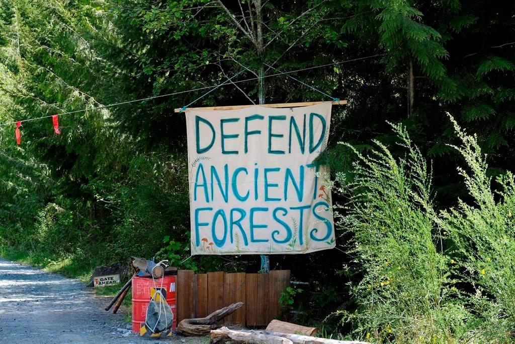 A sign is shown at the entrance to Eden blockade in the Fairy Creek area near Port Renfrew, B.C. on Tuesday, May, 11, 2021.  THE CANADIAN PRESS/Jen Osborne.