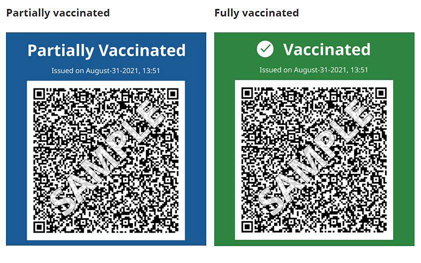 A screenshot showing samples of the partially and fully vaccinated options for B.C.’s soon-to-be implemented vaccine card. 