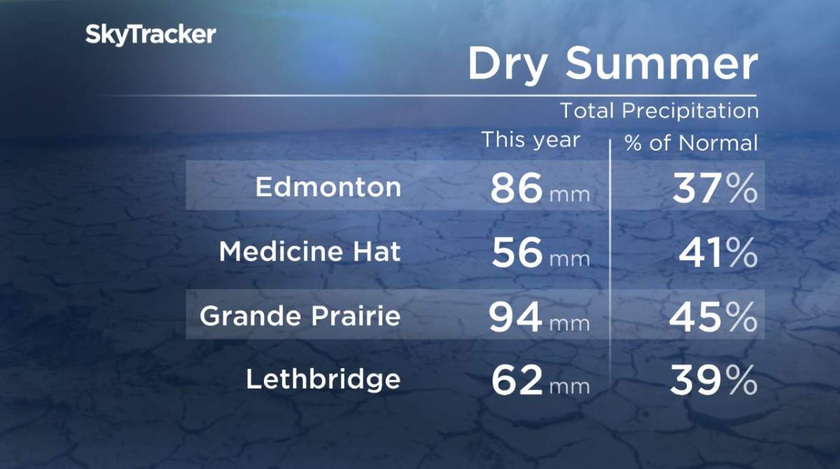 ‘Normal’ autumn expected after one of the hottest summers ever in Alberta - image