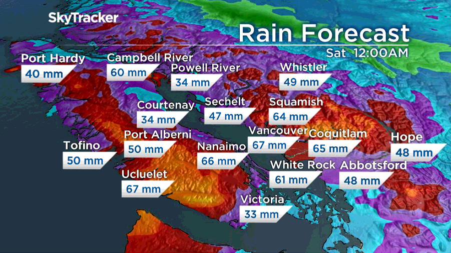 B.C.’s South Coast in for a ‘soaker’ as rainfall warning issued - image