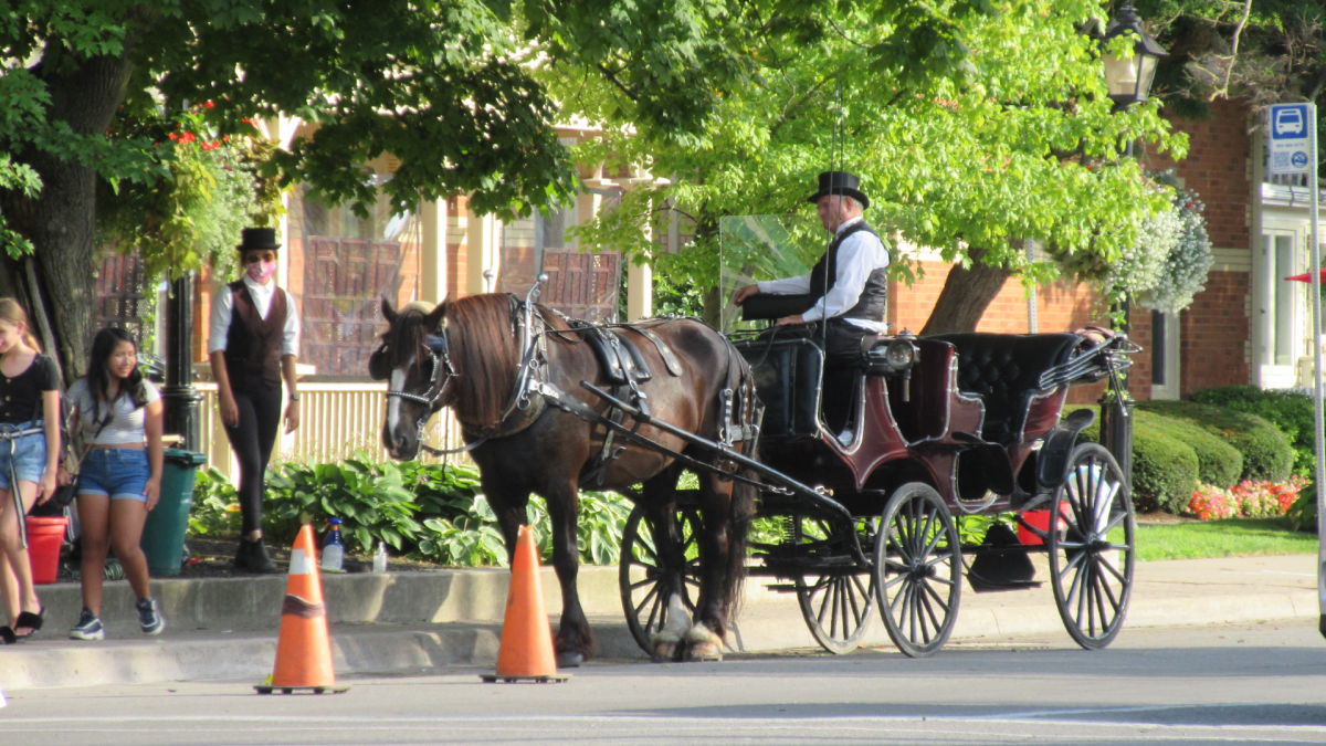 Police have charged a St. Catharines woman with assault in connection with an August 2021 altercation during a protest against the use of horse-drawn carriages in Niagara-On-The-Lake.