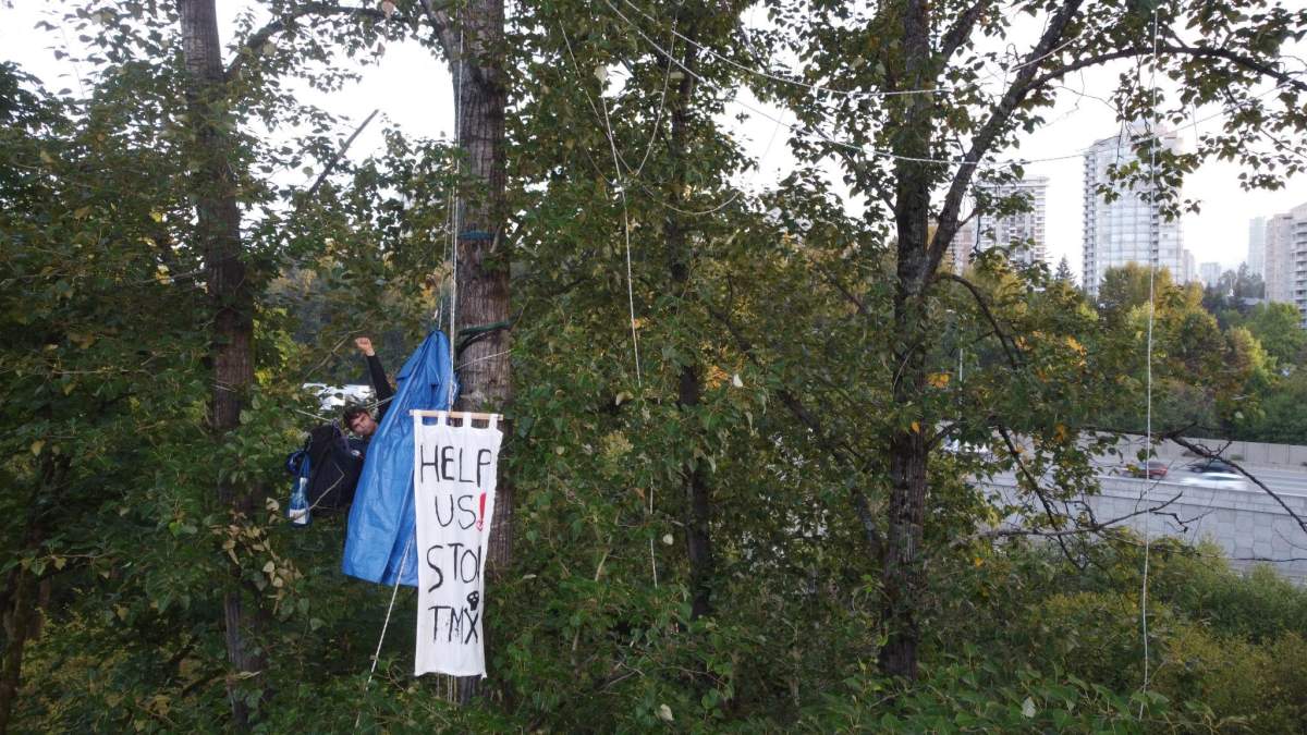 Environmental advocates stage a 'tree-sit' against the Trans Mountain pipeline expansion in Burnaby, B.C. One man was arrested and charged by police for violated a court-ordered injunction on Sept. 22, 2021.
