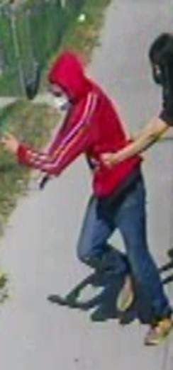Photo of the suspect
