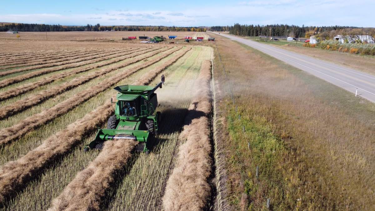 The community came together to help Dean Doll harvest his crops after he was injured in a hit and run.