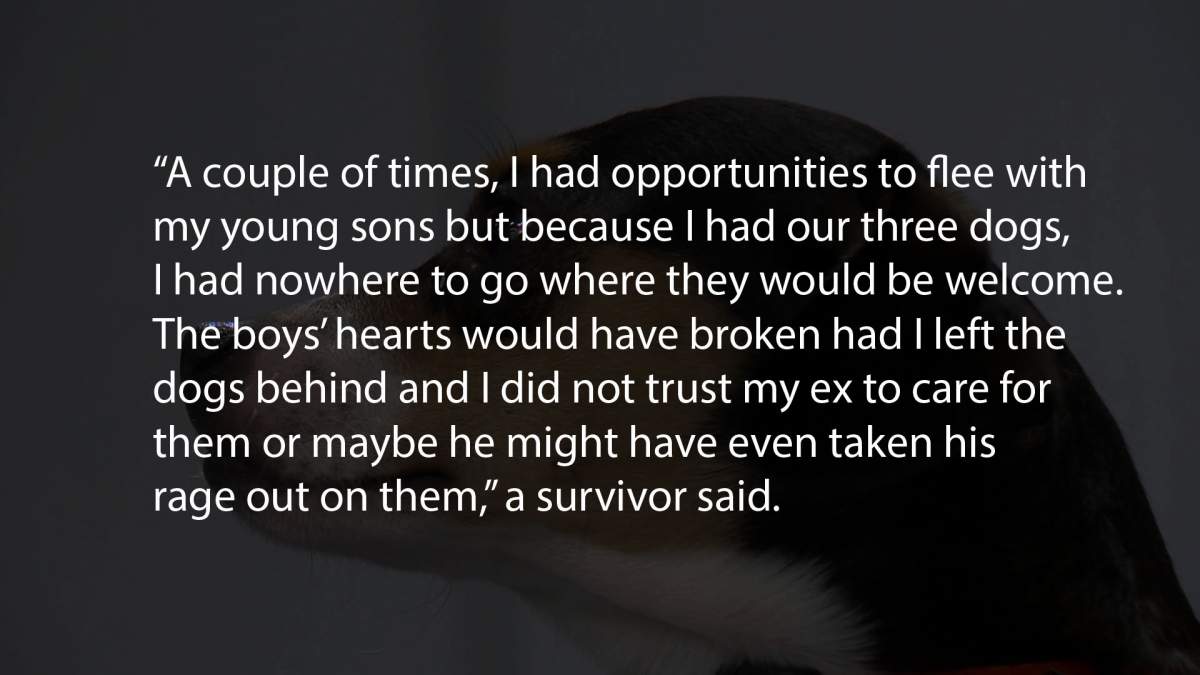 The graphic shows a response from an intimate-partner violence (IPV) victim who owned pets and/or livestock.