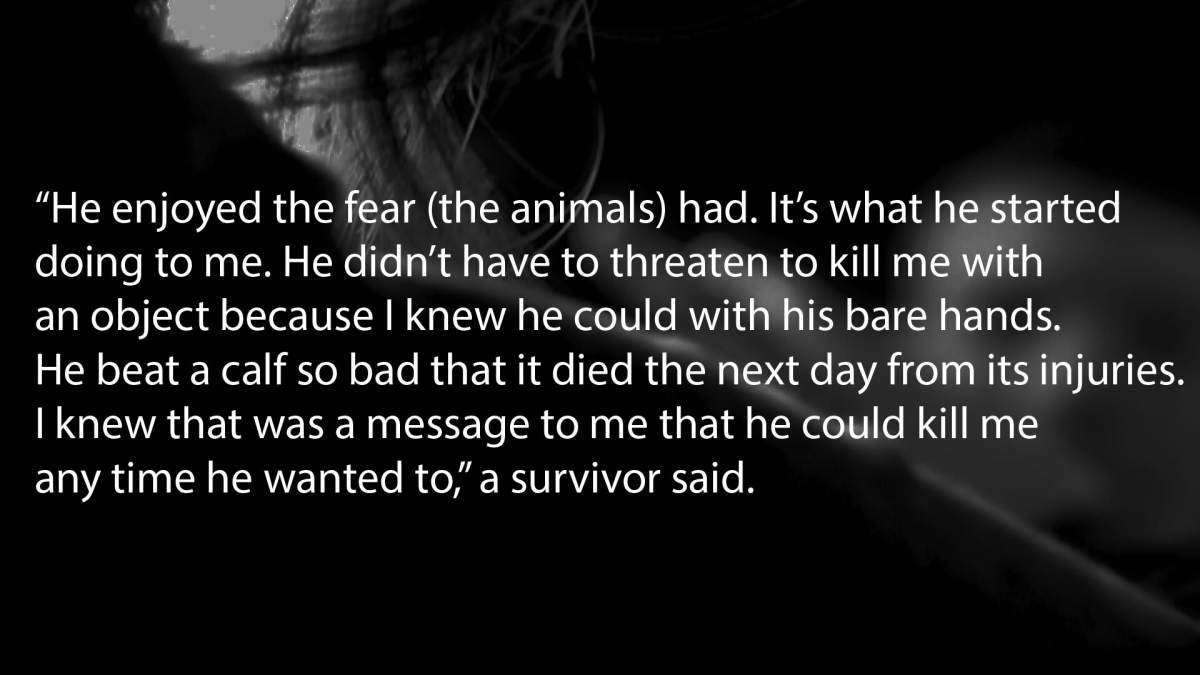 The graphic shows a response from an intimate-partner violence (IPV) victim who owned pets and/or livestock.