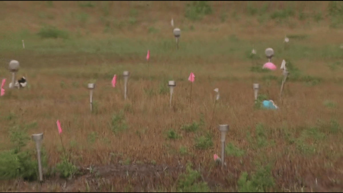A team tasked with investigating child deaths at the former Mohawk Institute Residential School building in Brantford, Ontario are checking out remains found in August 2020 near the facility.