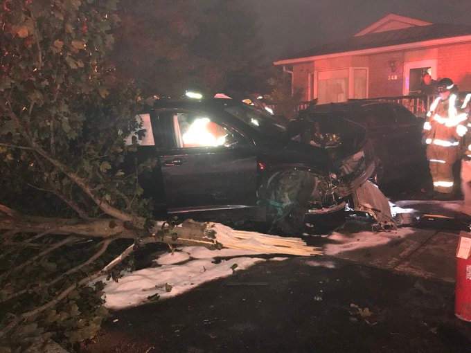 A platoon chief says emergency crews were called Sunday morning to Bonaventure Drive and Simpson Crescent where a car had reportedly struck a tree.