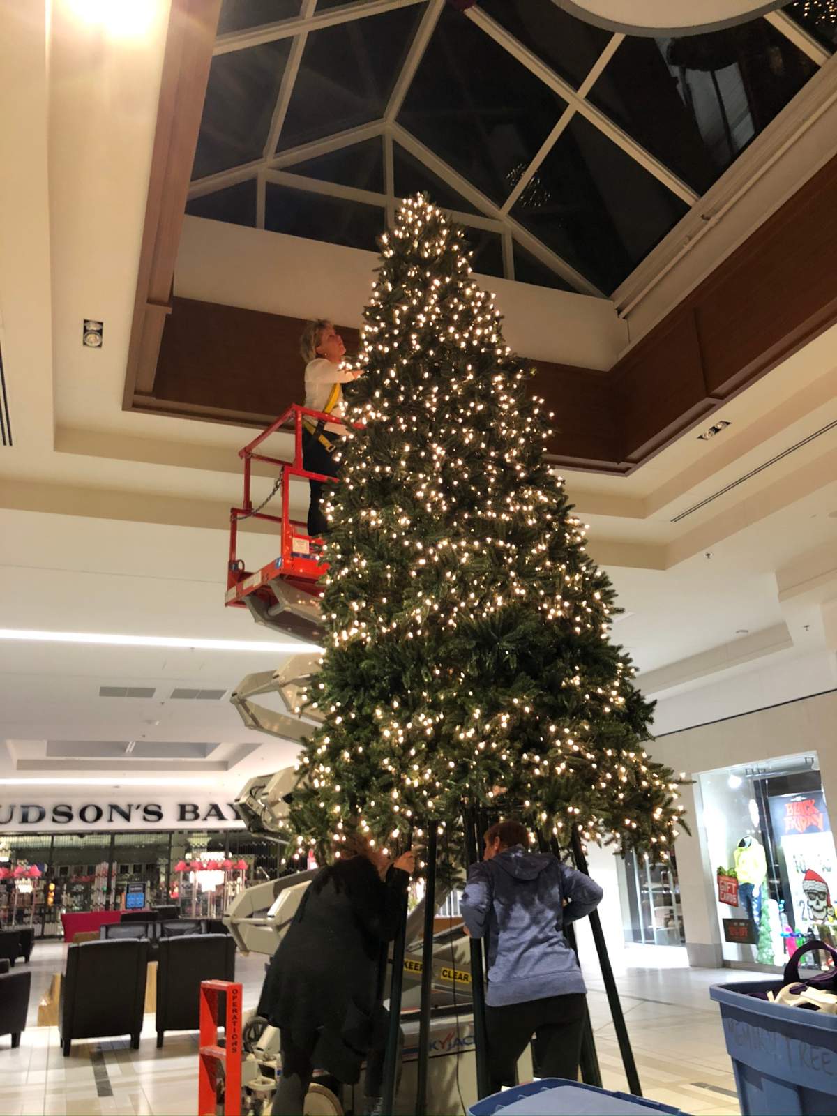 Palliative Manitoba is looking for someone to transport and assemble its “Memory Tree,” which provides a space for Winnipeggers coping with loss or grief over the holidays.