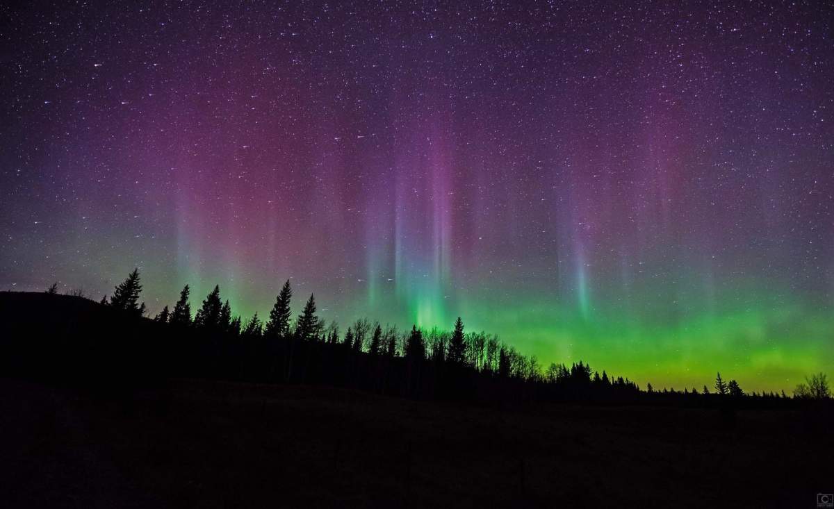 The Aurora Borealis in Cochrane, AB.