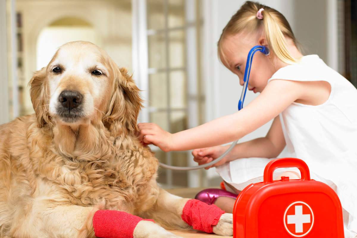The humane society says kids will even get a chance to perform an exam.