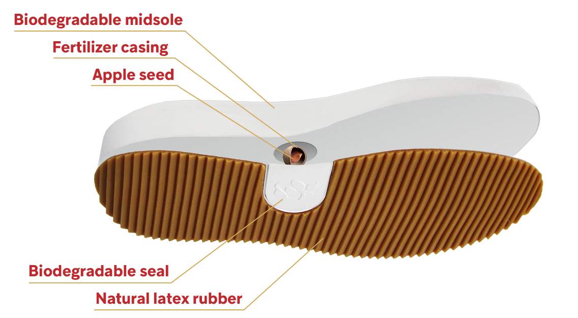A breakdown of ‘Johnny’ footwear, showing where the apple tree seed is housed. The seed is released into the earth, once the shoe is planted and begins the biodegradation process.