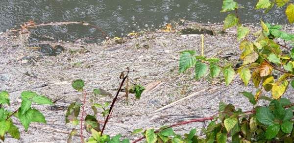 Plastic pellets seen in the Audley Canal.
