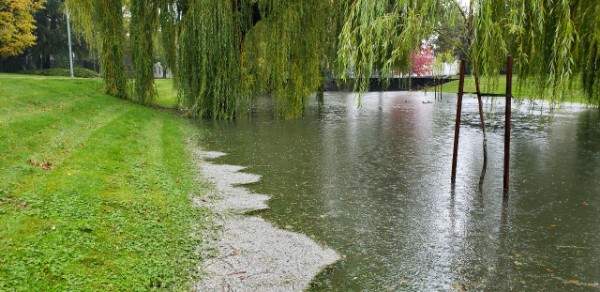 Plastic pellets seen in the Audley Canal.