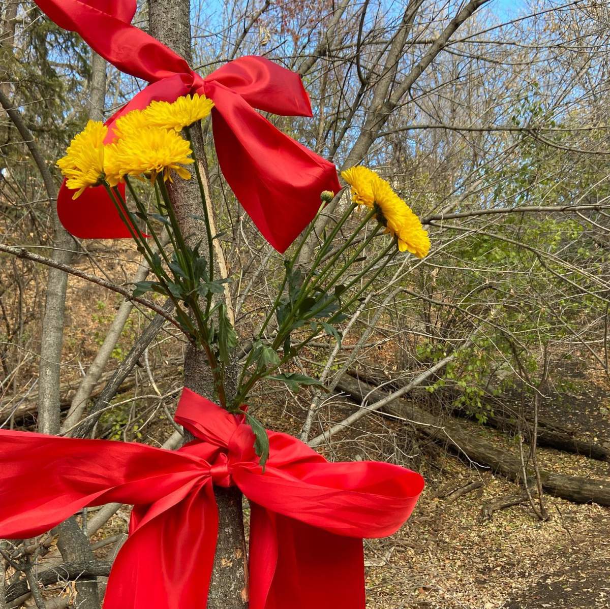 Red ribbons and flowers placed at a site where a woman was found dead in Kinnaird Ravine.