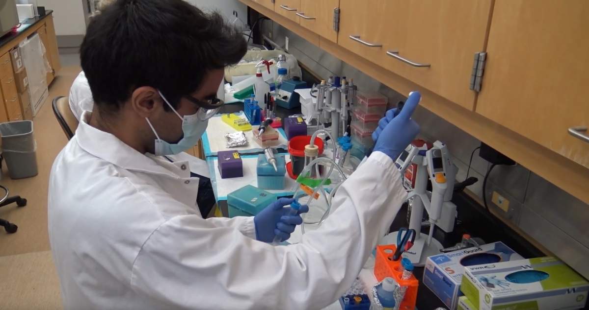 In treating sepsis, Lawson researchers find promise in carbon monoxide-releasing molecules - image