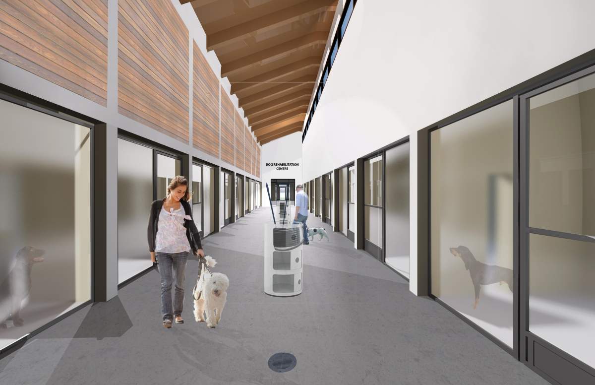 Rending of the dog rehab centre that will be part of the Peterborough Humane Society's animal care centre.