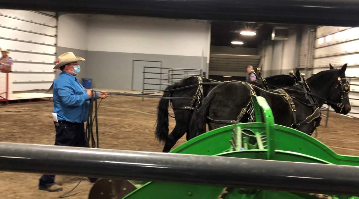 Canadian Western Agribition returns to Regina - image