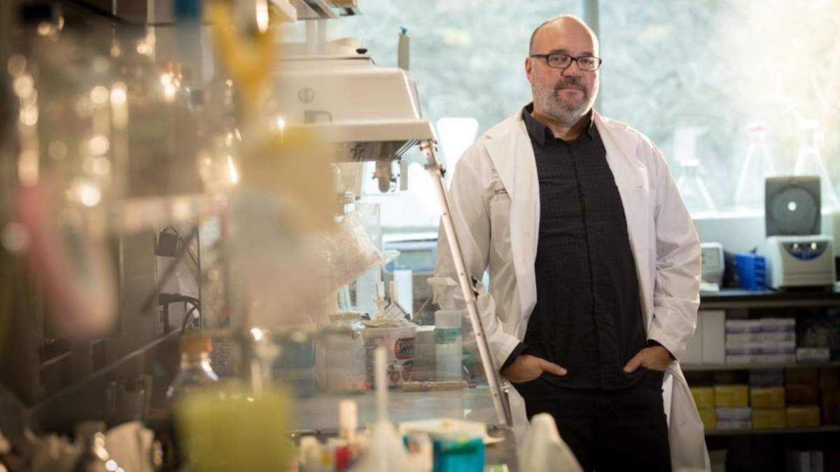 Dr. Gerry Wright and a team form McMaster, as well as the University of Hamburg, say they are closing in on a potential drug that could be effective in the battle against malaria.