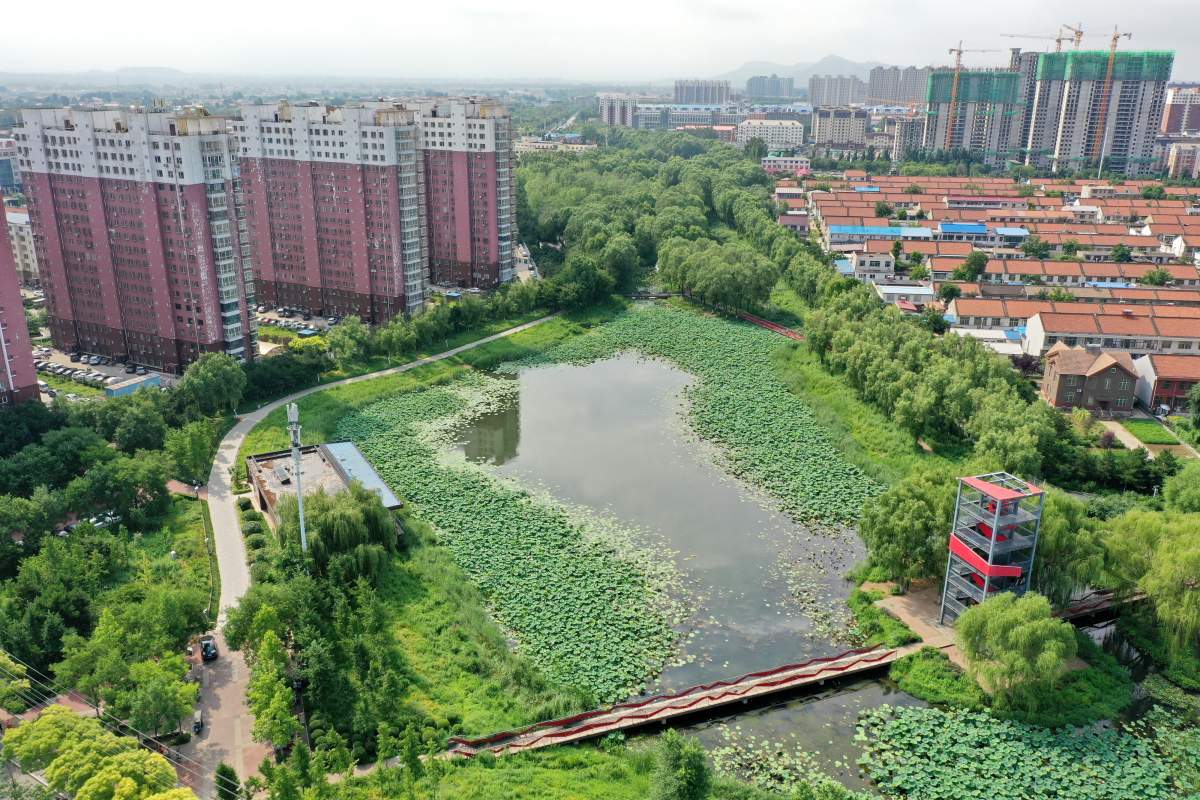 An aerial photo taken on Aug. 1, 2021 shows a natural pond that acts as a sponge, in the city of Qian’an in China’s Hebei Province.