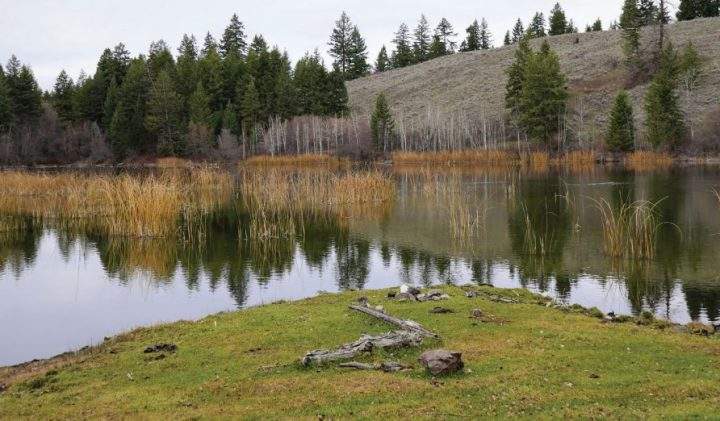 OKIB will have a community vote in January on whether it should go through with the land purchase.