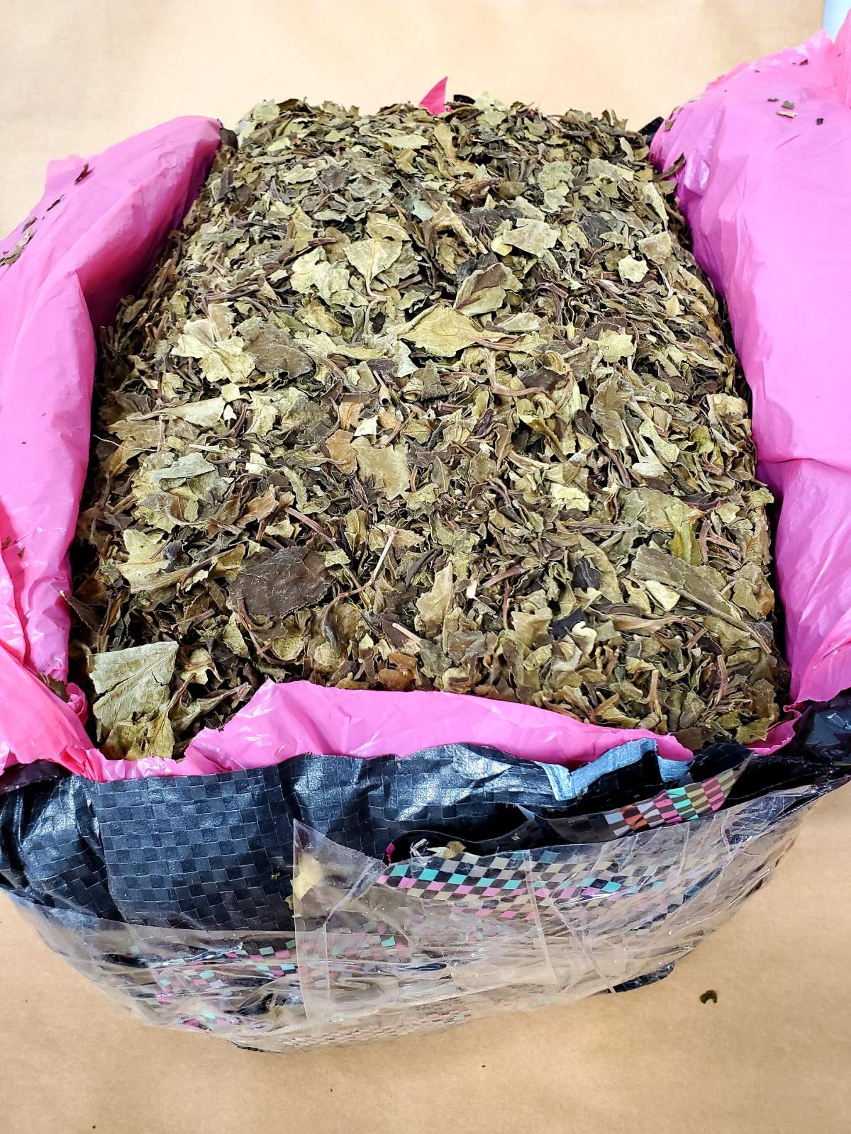 RCMP make arrests after Manitoba khat bust - image