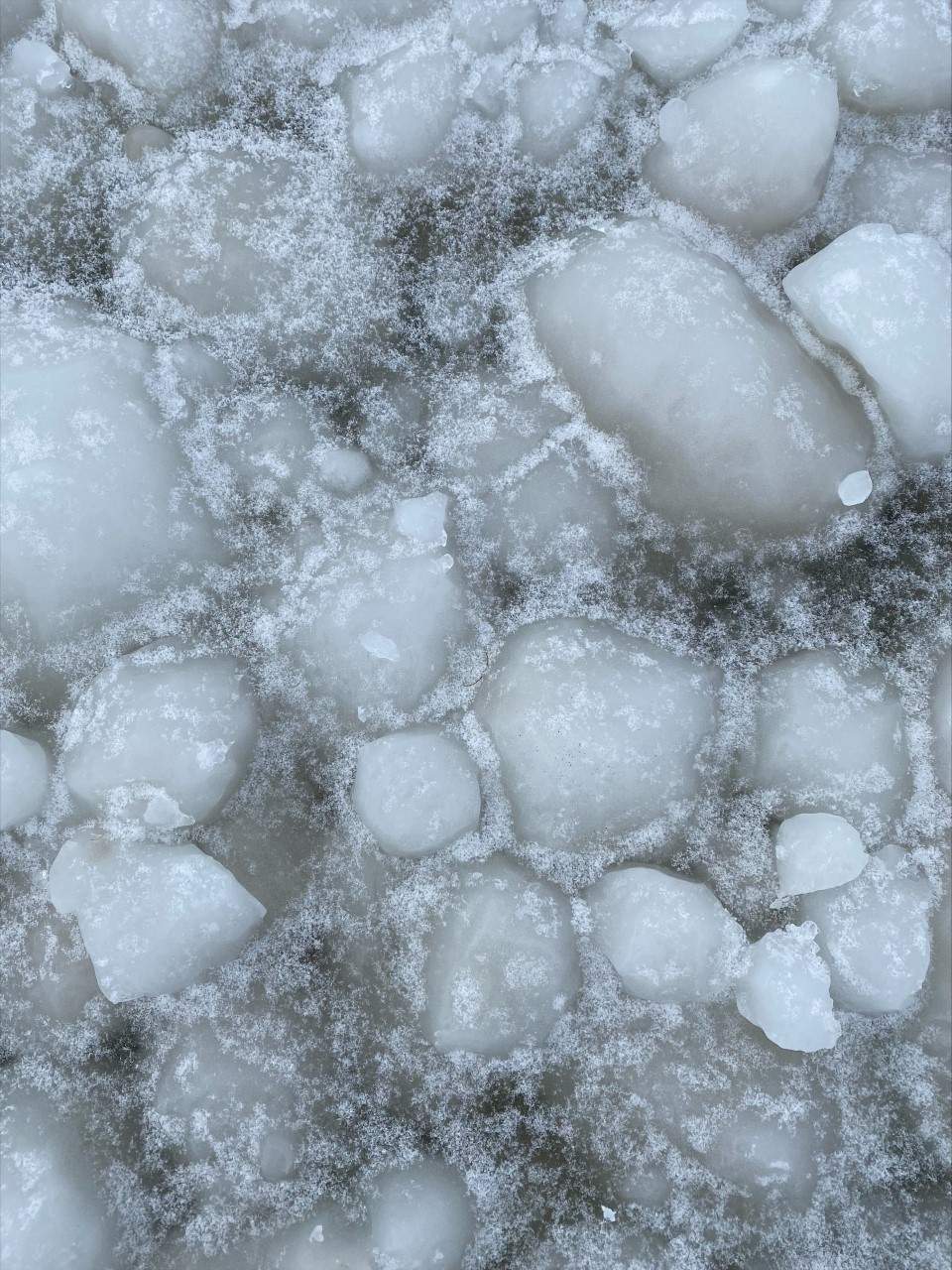 The strong winds and waves this past weekend likely rolled the frazil ice up into slushy orbs that eventually froze over, river ice expert Dr. Vincent McFarlane told Global News on Monday.