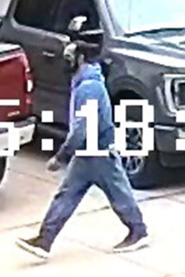 ‘Rascal’ steals $12,500 painting from Halifax art gallery in seconds - image