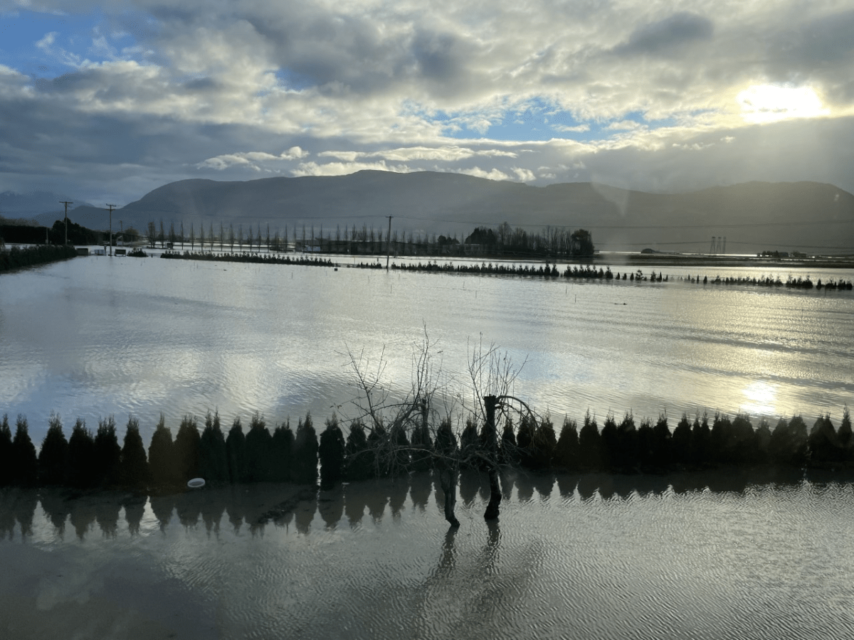 A look at a property in Abbotsford on the Sumas Prairie at North Parallel Road and No. 4 Road.