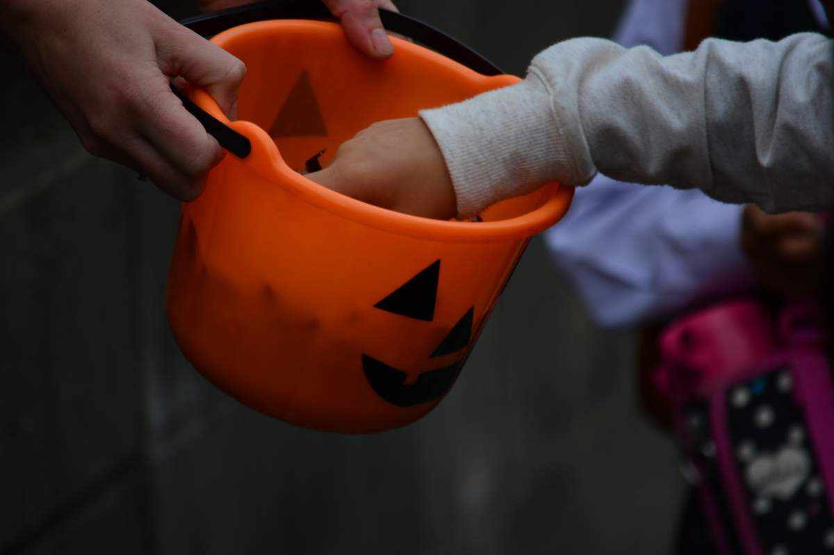 Sharp object found inside Halloween candy: South Frontenac OPP - image