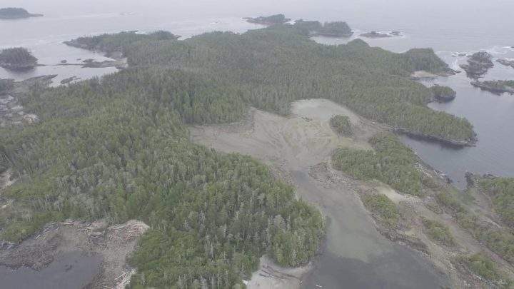 Archeologists from the Hakai Institute discovered a 14,000-year-old settlement on Triquet Island in Heiltsuk Territory in 2017.