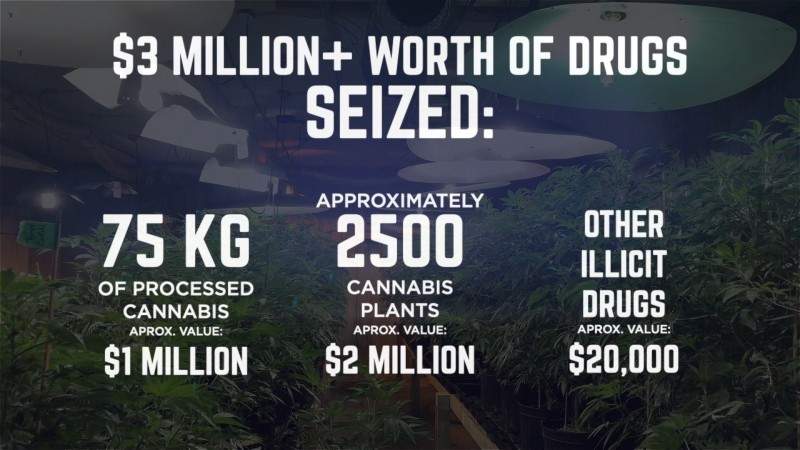 24 search warrants were executed and 16 people charged in Hamilton drug bust