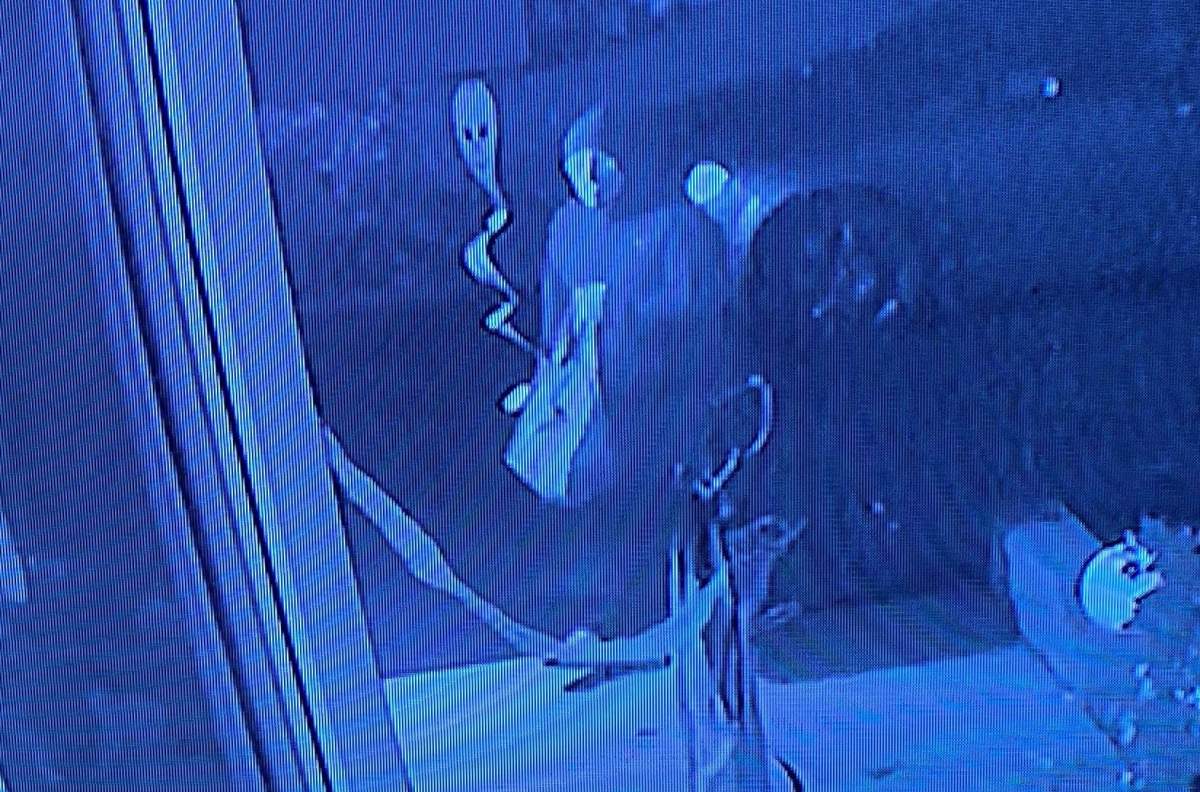 Guelph police have released an image of a suspect after a couple were pepper-sprayed on Halloween night. 
