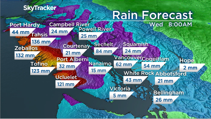 Heavy rainfall warnings were issued for Metro Vancouver and West Vancouver Island by Environment Canada on Nov. 2, 2021.