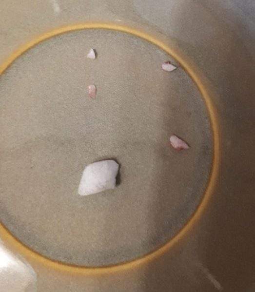 The Vandewater family told Global News they found several rock fragments in a smoothie made with President’s Choice-branded frozen fruit.