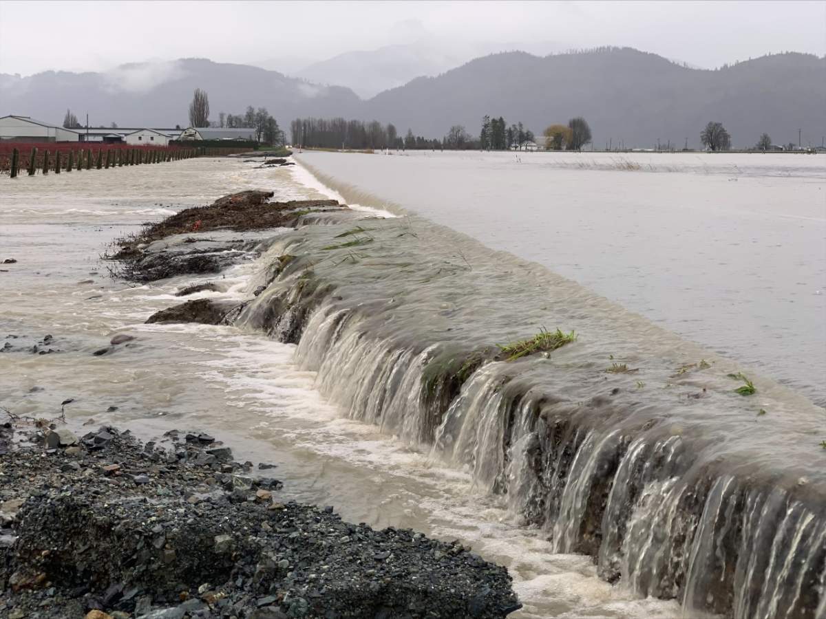 A look at the flooding along the Abbotsford and Sumas border Tuesday morning.