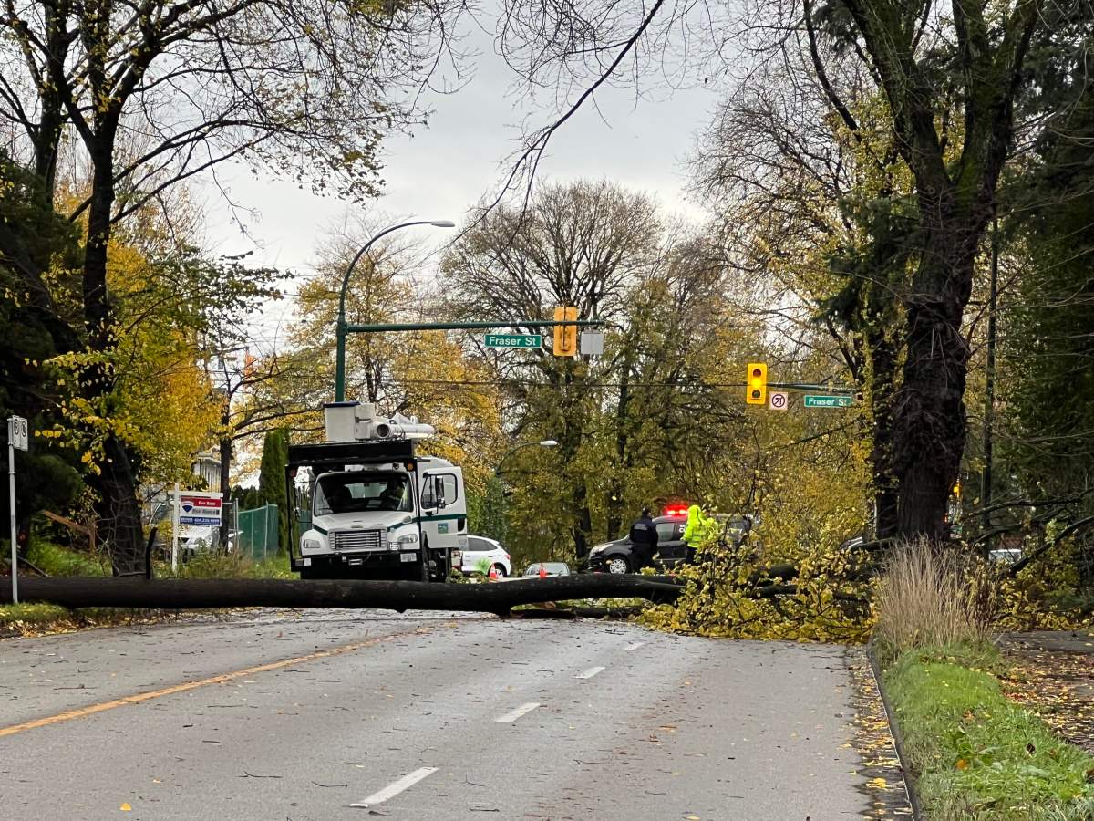 Crews on scene after a tree came down on East 12th Ave. in Vancouver Monday afternoon.