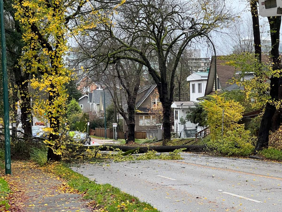 Crews on scene after a tree came down on East 12th Ave. in Vancouver Monday afternoon.
