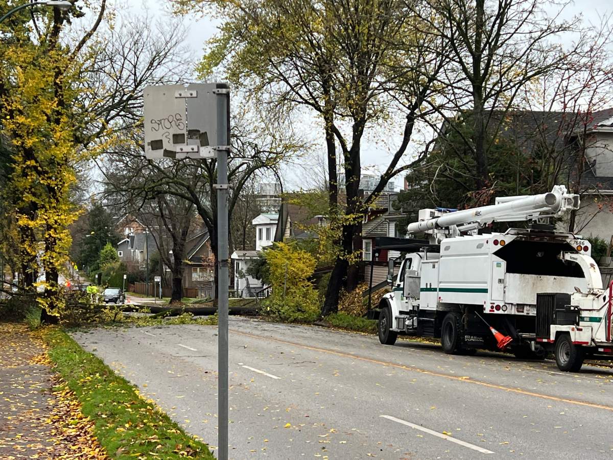 Crews on scene after a tree came down on East 12th Ave. in Vancouver Monday afternoon.