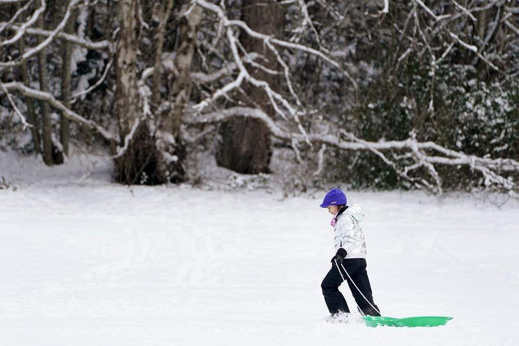New guidelines outline how school snowbanks should be built for sledding, including height, slope, supervision and when helmets may be required.