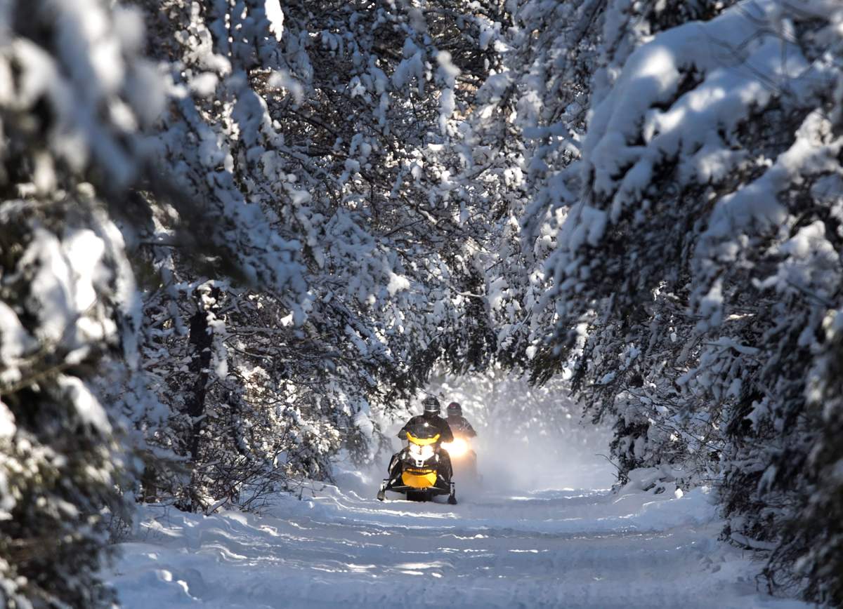 A new trail use agreement for Northumberland County Forest has been reached between Northumberland County.