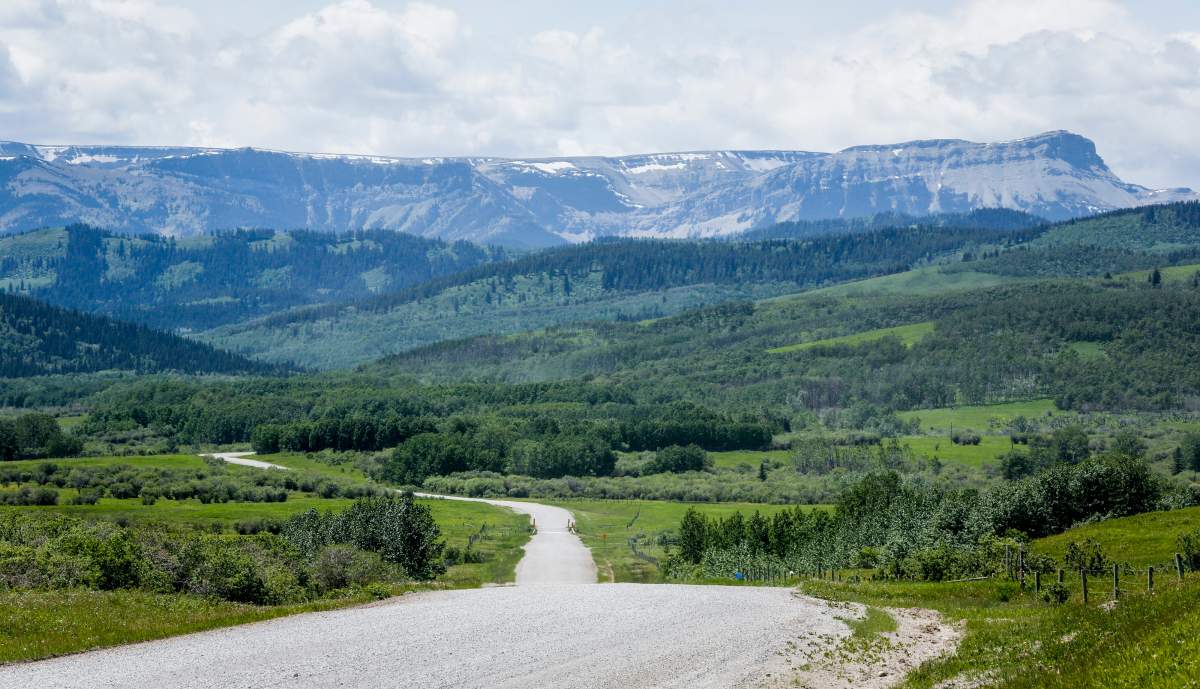 A section of the eastern slopes of the Rocky Mountains south west of Longview, Alta., on June 16, 2021.