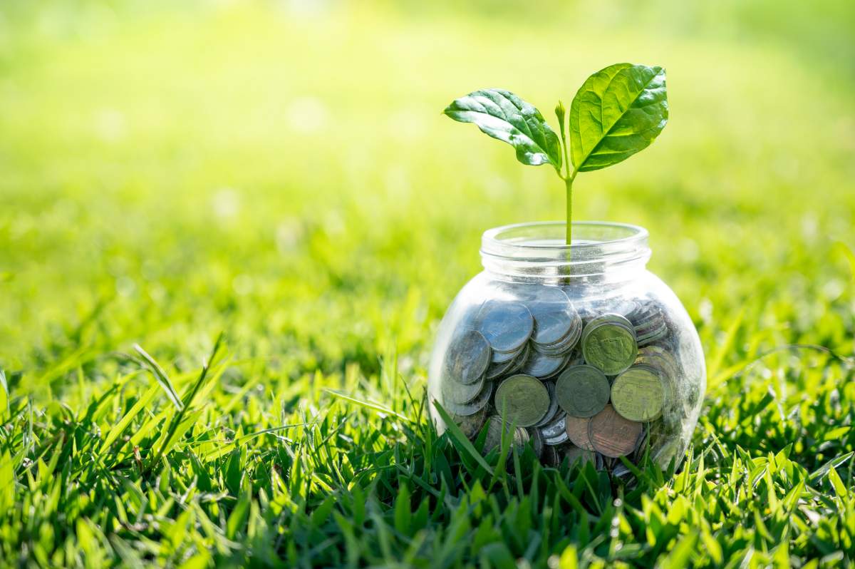 Investors are looking at 'green' financial products that close the gap between economic activity and environmental harm. 