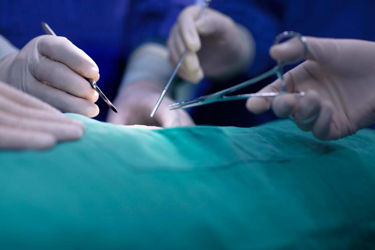 Doctors Manitoba warns of mounting delays across health-care system - image