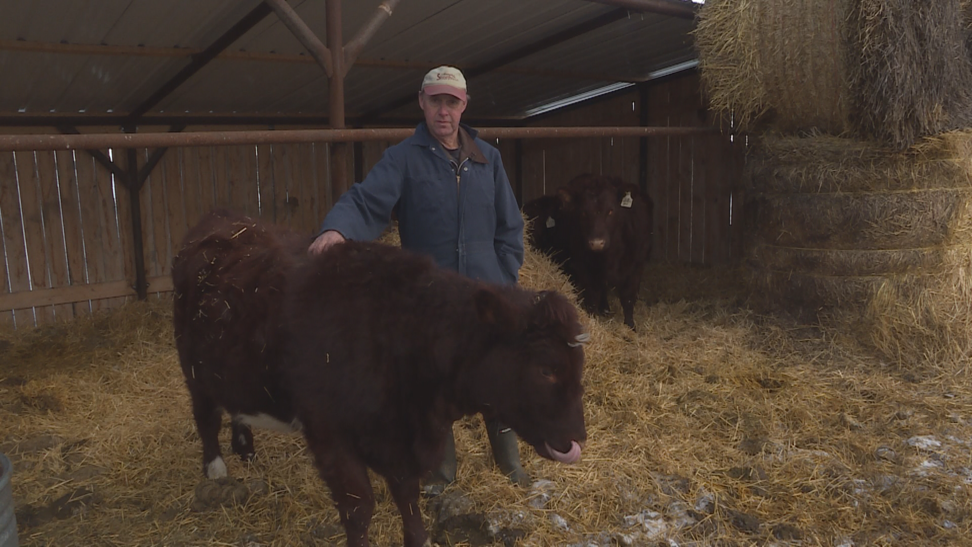 Argyle, MB, farmer Ian Smith has been selling pork, beef, and eggs directly to customers for a number of years.