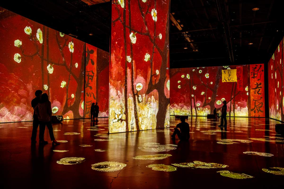 An undated photo from the Imagine Van Gogh exhibit.