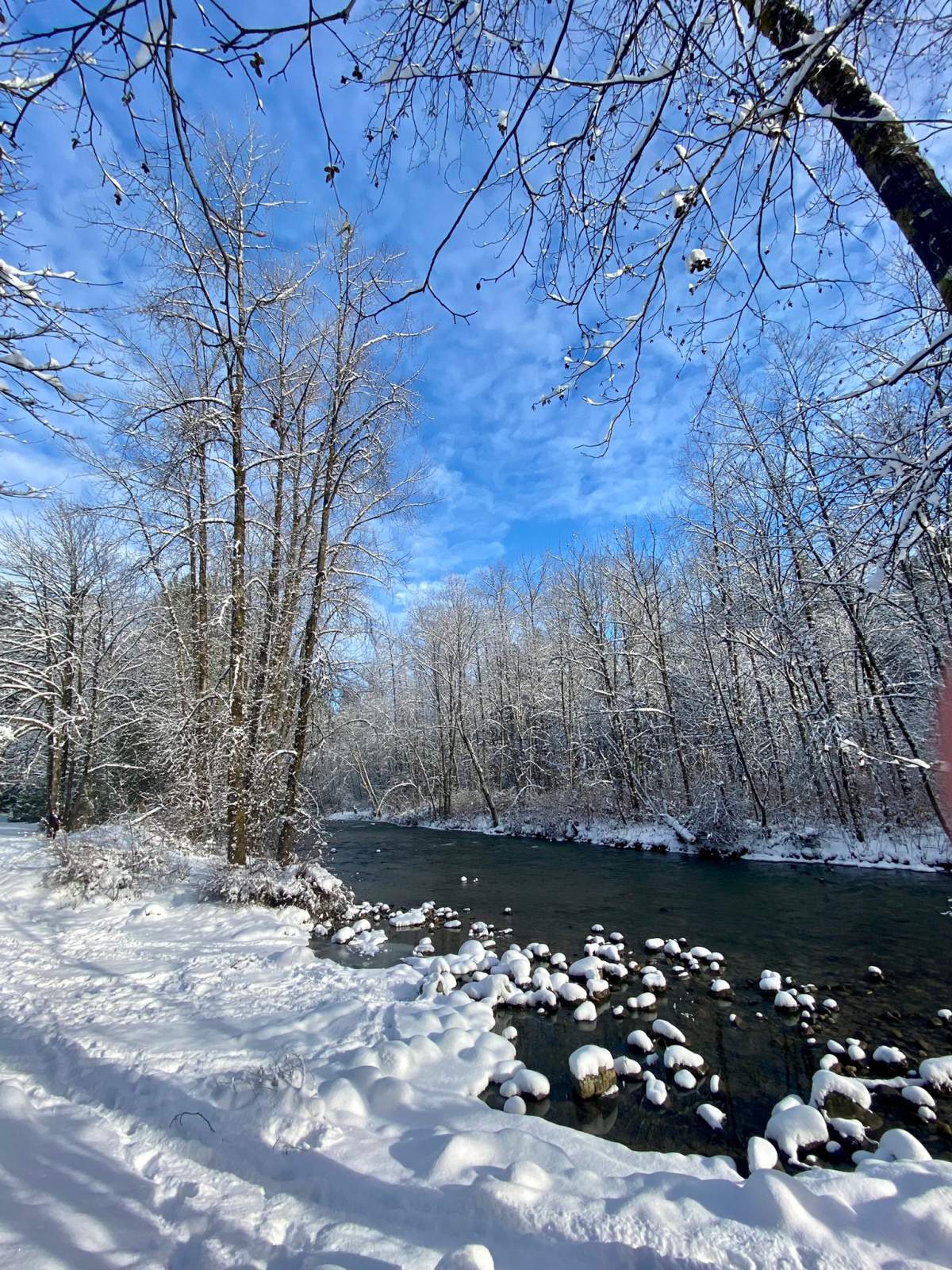 Alouette River, Maple Ridge