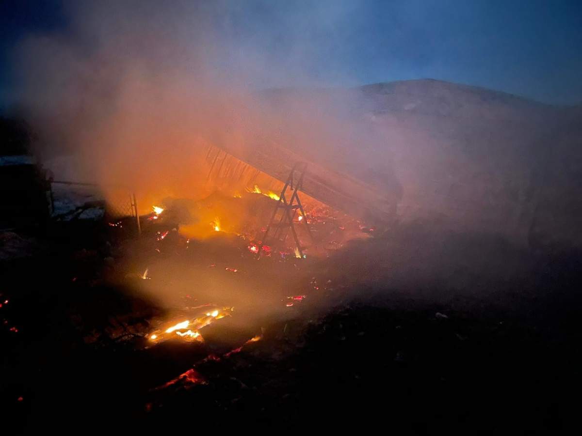 Seventeen animals were killed in a fire at Ferne's Acres Animal Sanctuary northwest of Edmonton.